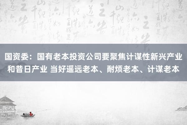 国资委：国有老本投资公司要聚焦计谋性新兴产业和昔日产业 当好遥远老本、耐烦老本、计谋老本