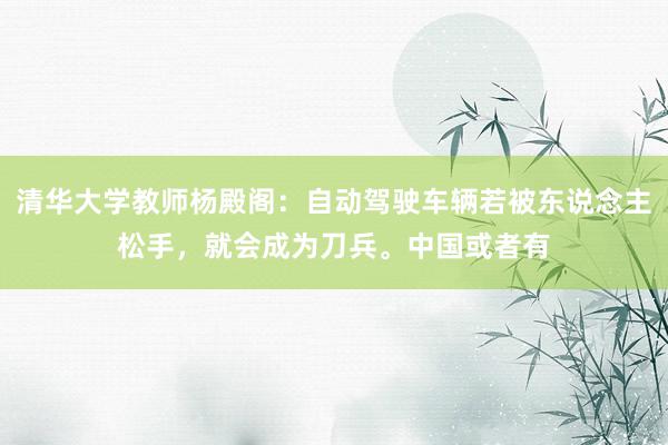 清华大学教师杨殿阁：自动驾驶车辆若被东说念主松手，就会成为刀兵。中国或者有