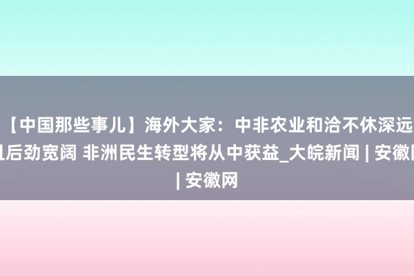 【中国那些事儿】海外大家：中非农业和洽不休深远且后劲宽阔 非洲民生转型将从中获益_大皖新闻 | 安徽网