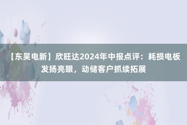 【东吴电新】欣旺达2024年中报点评：耗损电板发扬亮眼，动储客户抓续拓展