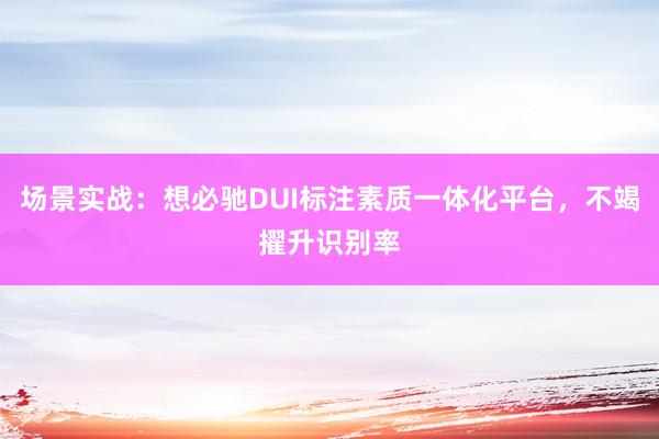 场景实战：想必驰DUI标注素质一体化平台，不竭擢升识别率