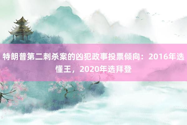 特朗普第二刺杀案的凶犯政事投票倾向：2016年选懂王，2020年选拜登