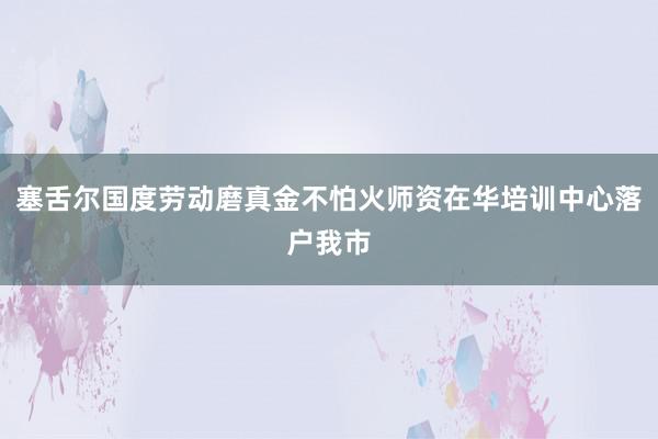 塞舌尔国度劳动磨真金不怕火师资在华培训中心落户我市